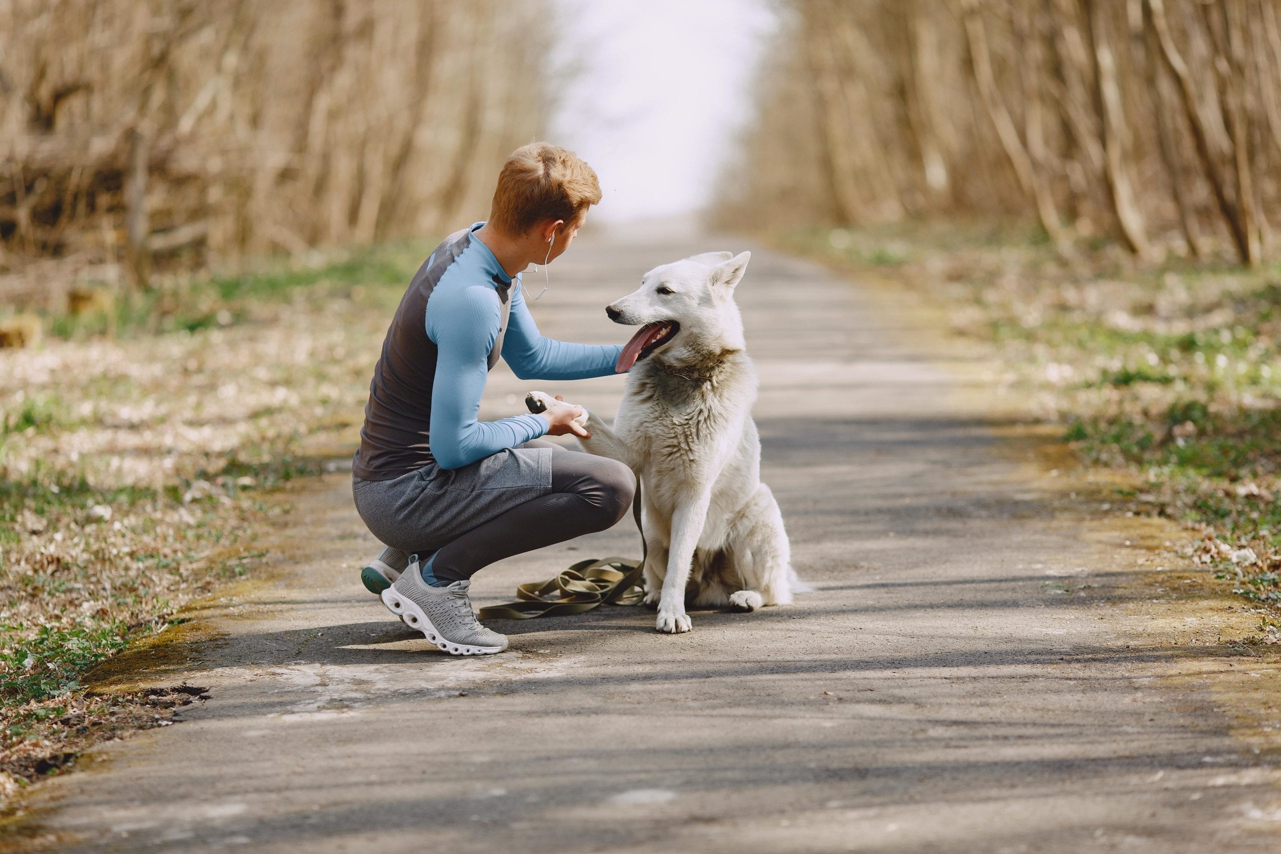 8 Dog Walking Apps for Pet Sitters to Find the Best Job in 2021 - Appjobs  Blog